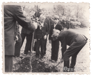 2.pasaules kara dalībnieks padomju armijas pusē Juris Rolis kopā ar Sikšņu skolas pionieriem stāda kociņus pie skolas.