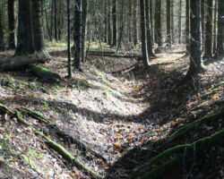 2. Pasaules kara Kurzemes cietokšņa vācu tranšejas.