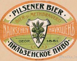 Pilzemes alus, Naukšēni.