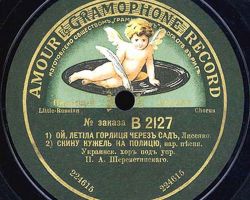 Gramophone record.