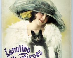 Lanolina ziepes. H. A. Brieger.