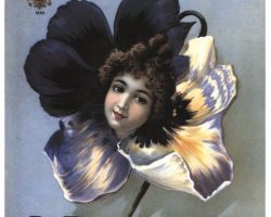 Šokolādes Konfektes “Ralle”.