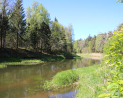 Bārtas upe pavasarī.