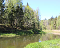 Bārtas upe pavasarī.