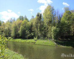 Bārtas upe pie Dūkupjiem pavasarī.