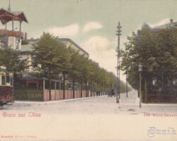 Die Ulich – Strasse.