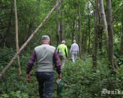 Pie paša Neptūna ceļa pamatīgs aizaugums, tālāk mežs gājējiem viegli veicams. Protams, te jāmarķē taka un mazliet jāpatīra alkšņu atvases.