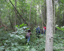 Takas aprises intuitīvi saskatāmas, nākotnē, protams, nepieciešams tās iezīmēt.