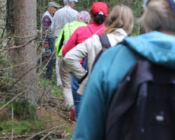 Satiksme tik vienā "joslā" Rokās sadoties te vis pagaidām nevar..