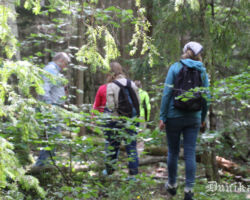 Redz, arī krituši koki uz takas. Cerams, pagaidām....