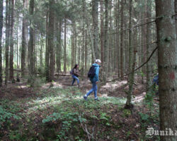 2. Pasaules kara vācu armijas ierakumi ļoti labi saglabājušies un saskatāmi.