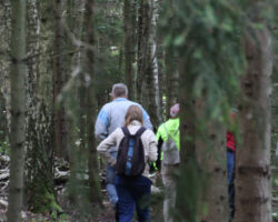 Tāda tā taka patreiz - saskatīt un iziet bez liekām rūpēm tomēr iespējams.