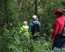 Ejam nost no bānīša stigas. Protams, te veģetācija jo varena.