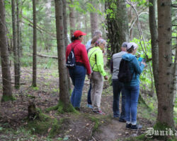 Pavisam cits skats mežā. Taka pa Bārtas upmalu jau iemīta, vien jāmarķē.