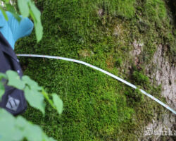 Ceļā "sastaptais" ozols tiek kopu spēkiem apmētīts. Ar 3 metru lenti pamaz, pamaz..