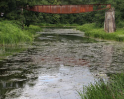 Ekspedīcija konstatēja, ka Vīles tilts patreiz visnotaļ kritiskā stāvoklī, tā sabrukšana iespējama jau tuvākajā nākotnē. Tiltu varētu nostiprināt par relatīvi nelieliem līdzekļiem, ja vien to darītu nekavējoties. 2020.07.21. Sabīnes Spāģes foto.