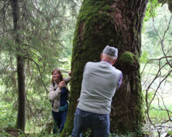 Arī šo koku apmēram, kā nu mākam!