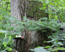 Protams, mēram, liekam mēru klāt atkal!