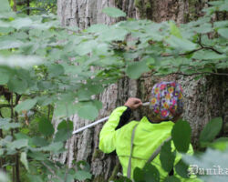 Ups.. atkal dižkoks!!! Daba pārsteidz un sajūsmina!