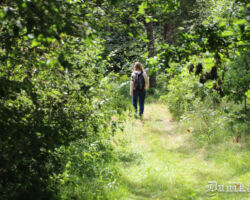 Romantiski un vienkārši skaisti !