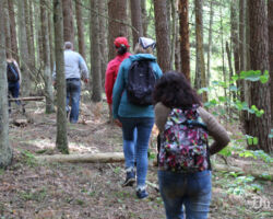 Te tik baļķīti novākt, mazliet zarus savaldīt, kādu apzīmējumu - un taka gatava!