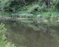 Bārtas upe visā krāšņumā.