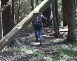 Te vajadzīgi talcinieki ar spēku, prātu un kārtīgiem instrumentiem!
