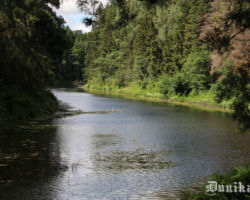 Vasara. Upe . Daba. Harmonija!