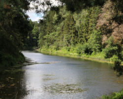 Upe Bārta. Nav ko piebilst.