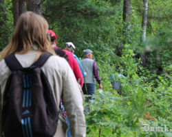 Šajā posmā taka maziem kociņiem, aveņu un kazeņu mētrām aizaugusi. Nav viegli šeit pārvietoties. Šo posmu noteikti nepieciešams attīrīt un nomarķēt.