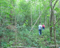 Taciņa pamanāma, bet staigāts te maz. Ja attīrītu un samarķētu, būtu cits skats!