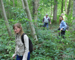 Te pamitra vieta, pamatā alkšņi vien dižojas.