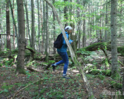 Tranšejas nebūt nav haotiski raktas, te sava nozīme it visam!