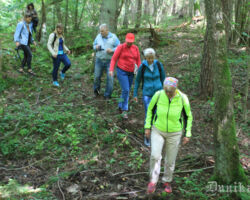 Pārvietošanās šajā posmā ērta visnotaļ.