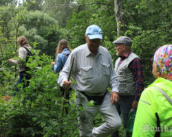 Taciņa ne vairs tik plata, bet saredzama un iešanu daudz netraucē.