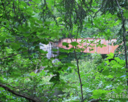 Skats uz Vīles tiltu caur krūmājiem. 2020.07.21. Modra Helda foto.