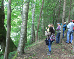 Jā, te informatīvo plāksni vajag, kādu vietējo leģendu piesaistīt...