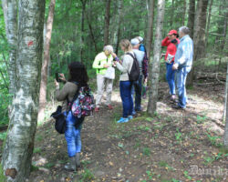 Jā daba patiesi pārsteidz!