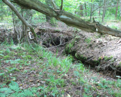 Ierakumi nekur nepazūd. Te tie dziļāki, labāk iekārtoti.