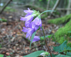 .. un burvībā. Unikāls biotops!
