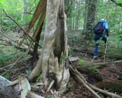 Dabas veidota ainava. Iespaidīgi!