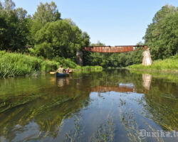 Bārtas upe pie Vīles tilta 2012.07.26 Julitas Klušas foto.