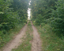 Liepājas - Rucavas dzelzceļa stiga 2015.08.23. Andra Baloža foto.