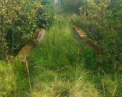 Liepājas - Rucavas dzelzceļa stiga. Tilts pār Ķīburu strautu 2015.08.23. Andra Baloža foto.