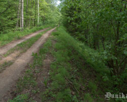 Liepājas – Rucavas dzelzceļa stiga 2016.05.28. Dāvja Kļaviņa foto.