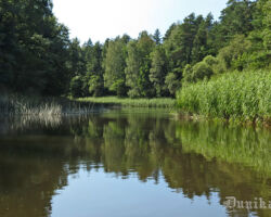 Bārtas upes skats 2012.07.26. Julitas Klušas foto.