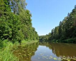 Bārtas upes skats 2012.07.26. Julitas Klušas foto.