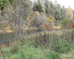 Bārtas upes skats no Dunikas puses 2014.10.07.