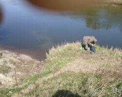 Bārtas upes skats no Dunikas puses 2015.04.24.