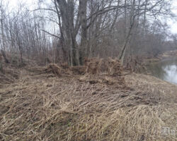 Bārtas krasts pavasarī 2016.03.02.